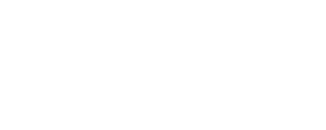 Swiftwall MAX logo